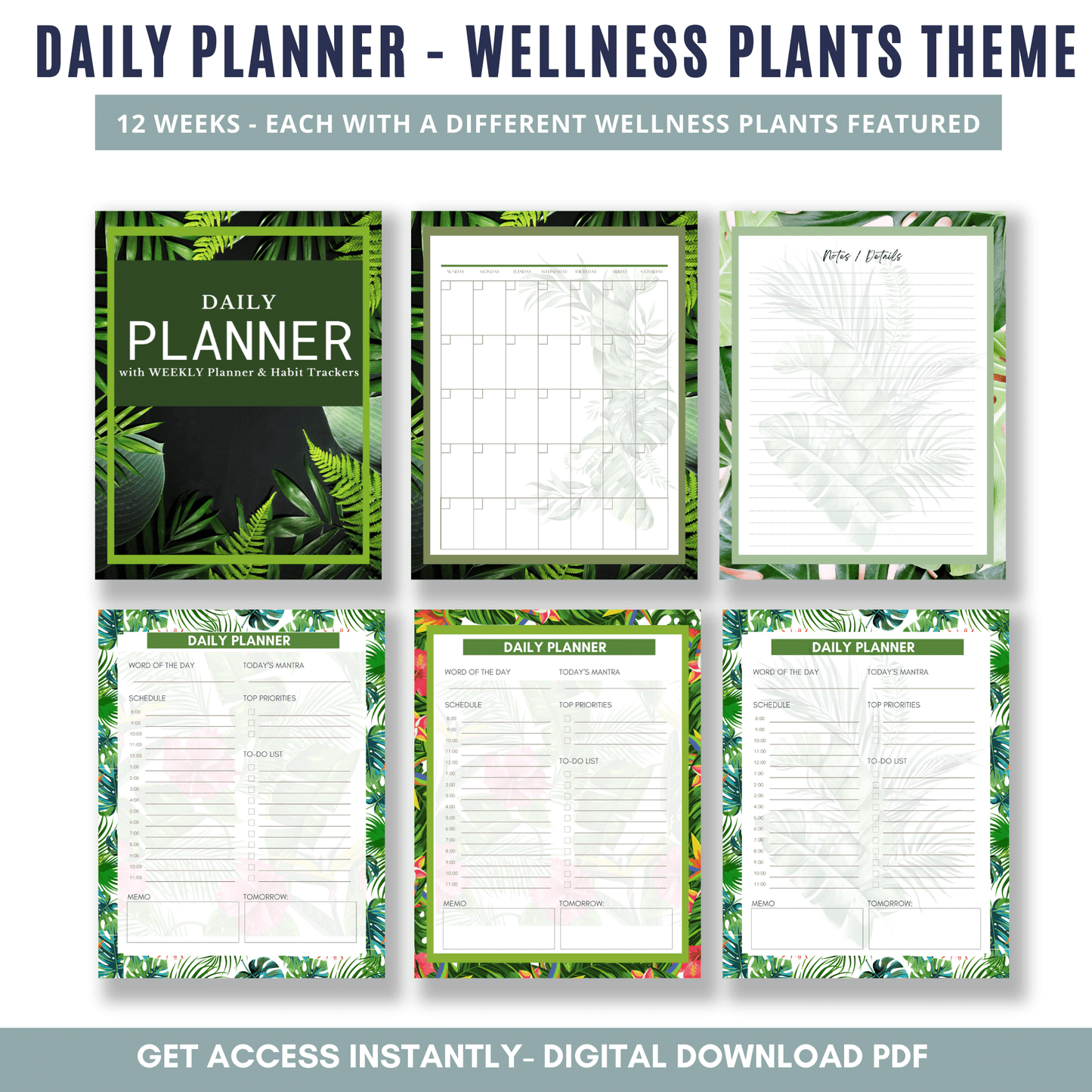 Tropical 12 Week Planner - Full Color Version