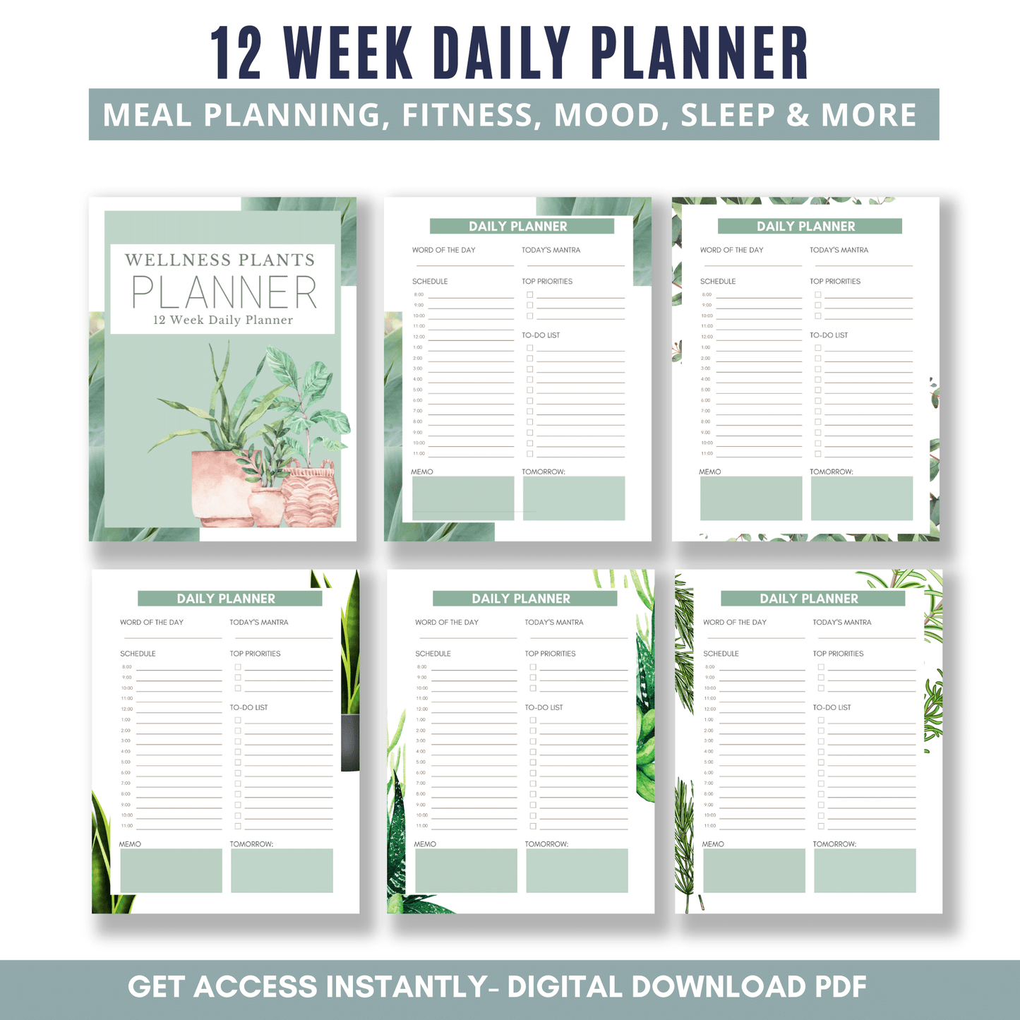 12 Week Daily Planner - Wellness Plants - White Background